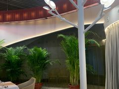 -国家大剧院西餐厅