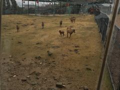 -无锡动物园·太湖欢乐园
