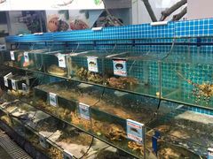 水产区-范饭椰林川湘味海鲜·椰子鸡(三亚湾椰梦长廊店)