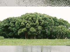 -良渚古城遗址公园