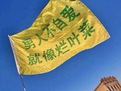 -枫花园汽车电影院(朝阳公园店)