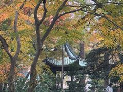 -苏州大学(天赐庄校区)