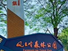 -风云岭森林公园