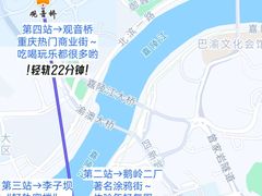 -烤匠麻辣烤鱼(观音桥大融城店)
