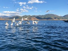 -泸沽湖里格半岛