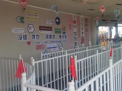 -琴岛之星摩天轮