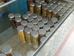 -野荸荠