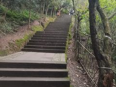 -凤栖山