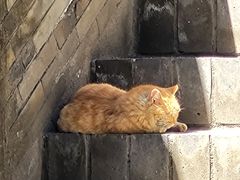 -大钟寺古钟博物馆