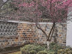-桃花涧