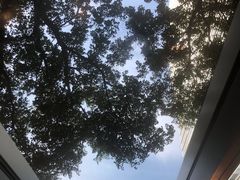 -EVERNAKED裸蛋糕(SOHO天山店)