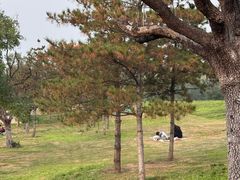 -西安汉城湖景区