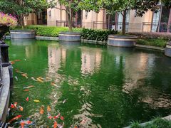 -上海浦东星河湾酒店