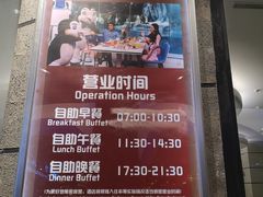 -帝企鹅自助餐厅•儿童岛•真企鹅(长隆企鹅酒店)