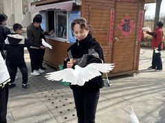 -天津妈祖文化园