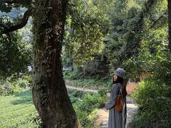 -杨家堂村