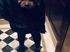 -全心全意连锁动物医院·微创中心·内科急重症·心脏专科(丰管路店)