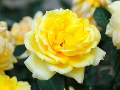 -人民公园(罗湖区)