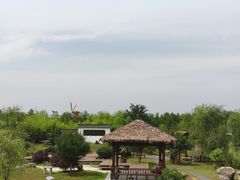 -金卉庄园