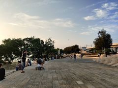 -宝安西湾红树林湿地公园