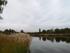 -西海子公园