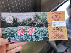 -桂湖森林公园