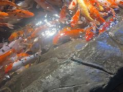 -海合安青岛极地海洋公园
