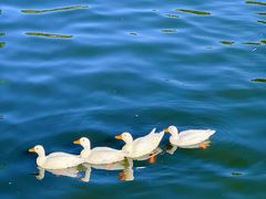 -沂蒙云瀑洞天景区