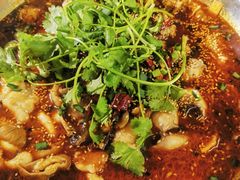 -川囧肥肠鸡·美蛙鱼锅(平高广场店)