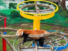 -西霞口神雕山野生动物世界