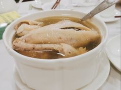 鲜人参糯米炖家鸡-宜宾海鲜酒家·三十年老字号