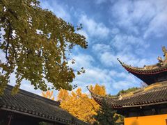 -西园戒幢律寺