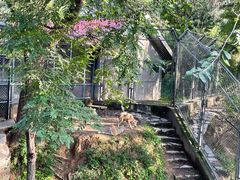 -石家庄市动物园