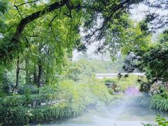 -广州兰圃