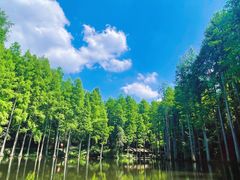 -波尔登森林公园