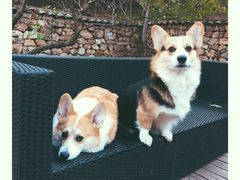 -北京山里寒舍度假酒店