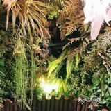 假日带娃新去处—宠物主题亲子体验馆