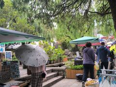 -蓝壁虎咖啡酒馆