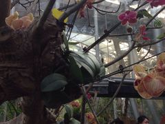 环境-北京植物园-展览温室
