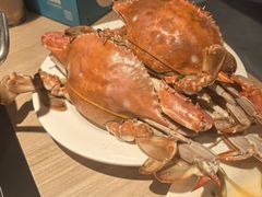 -星伦多自助料理(爱琴海店)