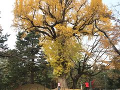 -京都御所