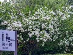 -尚贤河湿地