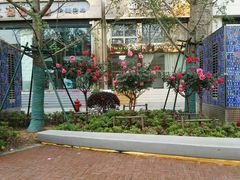 -黎黄陂路街头博物馆