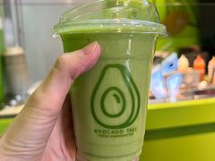 -油梨树AVOCADO TREE(顺义新国展店)