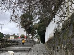 -黟县屏山村