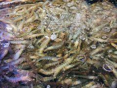 -盒马鲜生(红莲店)