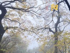 -华山风景名胜区