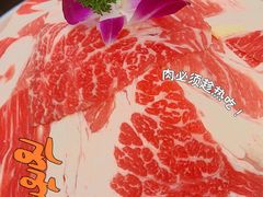 -锤头鲨毛肚海鲜烤肉自助餐厅(国购广场店)