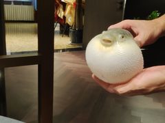 -肆月河豚·淮扬菜·湘菜(华天店)