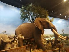 -陕西自然博物馆